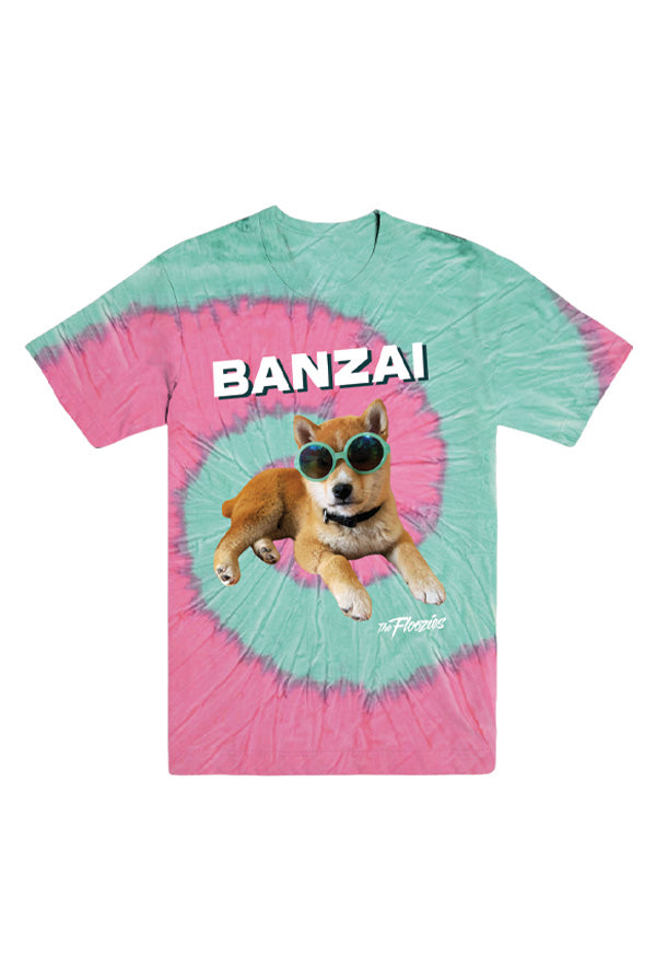Banzai Classic Tee - Biggie Cityscape main image 1
